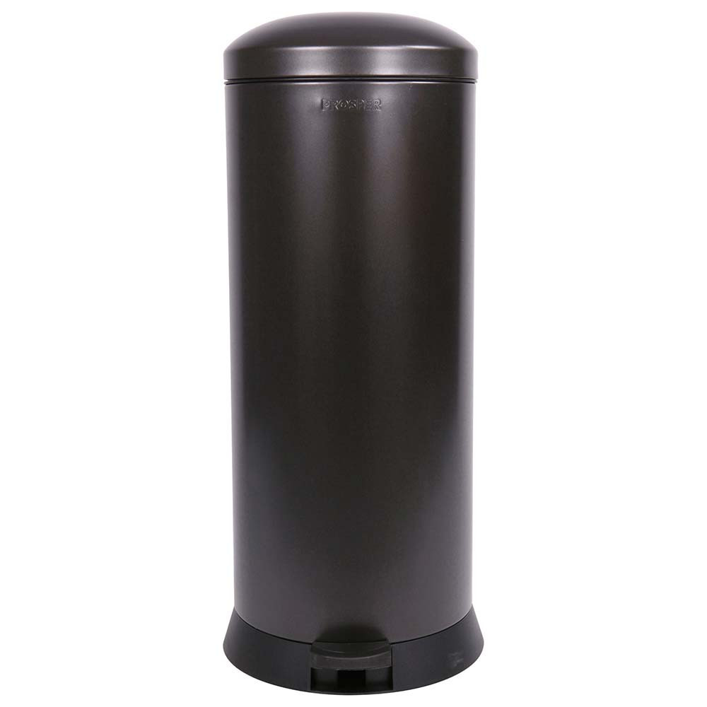Poubelle cuisine à pédale 30L et 10 sacs poubelle 50L Noir Basalte Poubelle cuisine à pédale 30L et 10 sacs poubelle 50L Noir Basalte