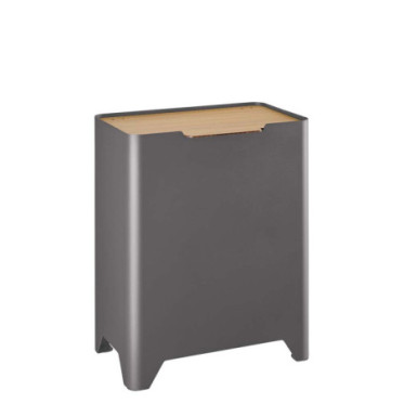 Poubelle cuisine de tri sélectif 2x20L avec seaux Gris Ardoise