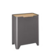 Poubelle cuisine de tri sélectif 2x20L avec seaux Gris Ardoise Poubelle cuisine de tri sélectif 2x20L avec seaux Gris Ardoise